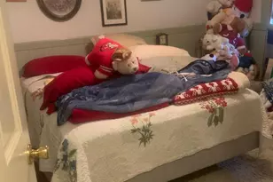 2581 Elm St, Napa, CA 94558 - Photo 20