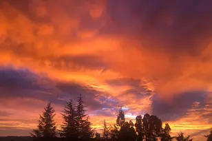 1411 Oak Knoll Rd, Ukiah, CA 95482 - Photo 36