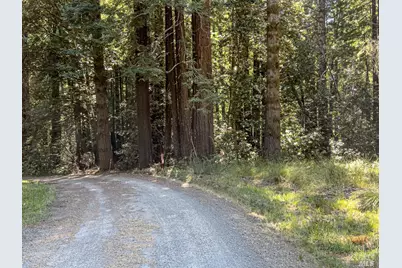 42180 Deer Trail, The Sea Ranch, CA 95497 - Photo 22