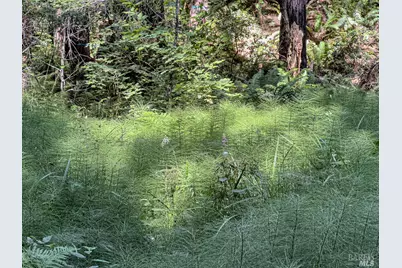 42180 Deer Trail, The Sea Ranch, CA 95497 - Photo 14