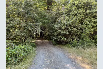 42180 Deer Trail, The Sea Ranch, CA 95497 - Photo 28