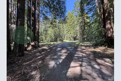 42180 Deer Trail, The Sea Ranch, CA 95497 - Photo 20