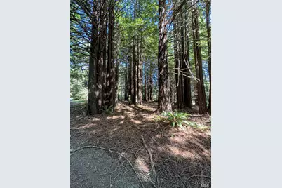42180 Deer Trail, The Sea Ranch, CA 95497 - Photo 16