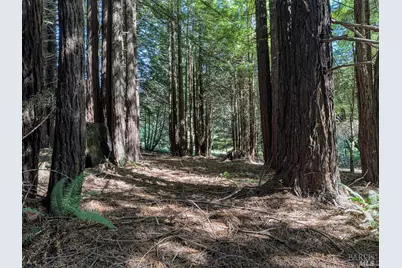 42180 Deer Trail, The Sea Ranch, CA 95497 - Photo 10