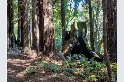 42180 Deer Trail, The Sea Ranch, CA 95497 - Photo 2