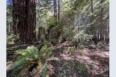 42180 Deer Trail, The Sea Ranch, CA 95497 - Photo 12