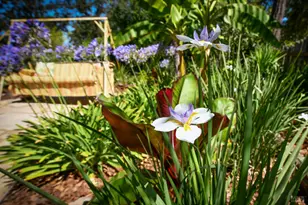 4022 Woolsey Rd, Santa Rosa, CA 95401 - Photo 28