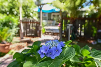 4022 Woolsey Road, Santa Rosa, CA 95401 - Photo 32