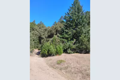 4100 Hansen Ranch Road, Piercy, CA 95587 - Photo 6