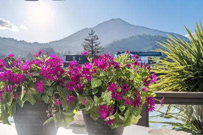 28 Corte Del Coronado, Larkspur, CA 94939 - Photo 34