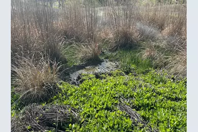 25156 E State Hwy 20 Highway, Clearlake Oaks, CA 95423 - Photo 10