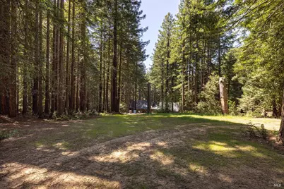 2264 Joy Ridge Road, Occidental, CA 95465 - Photo 70