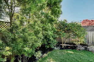 34 Diane Ln, Larkspur, CA 94939 - Photo 34