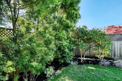 34 Diane Lane, Larkspur, CA 94939 - Photo 34