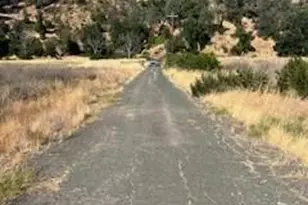 11727 Elk Mountain Rd, Upper Lake, CA 94585 - Photo 12