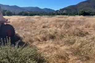 11727 Elk Mountain Rd, Upper Lake, CA 94585 - Photo 6