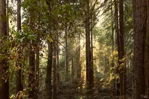 12195 Fiori Ln, Sebastopol, CA 95472 - Photo 86