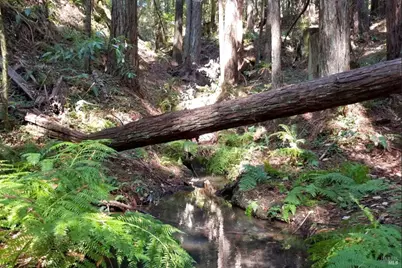 12195 Fiori Lane, Sebastopol, CA 95472 - Photo 84