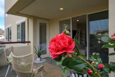 400 Deer Valley Road #2A, San Rafael, CA 94903 - Photo 14