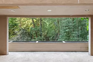 169 Rose Ave, Mill Valley, CA 94941 - Photo 56