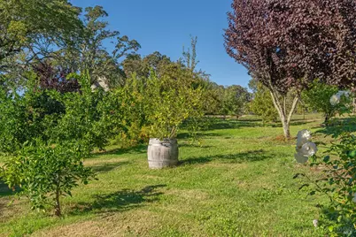 1603 Balverne Lane, Windsor, CA 95492 - Photo 54