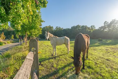 1603 Balverne Lane, Windsor, CA 95492 - Photo 6