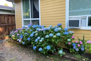 8423 Spring Dr, Forestville, CA 95436 - Photo 26