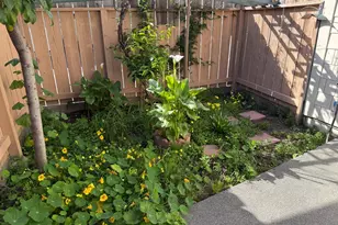 19 Manchester Ct, Novato, CA 94947 - Photo 10