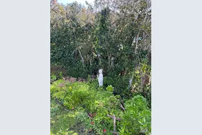 38851 S Highway 1 Highway #39, Gualala, CA 95445 - Photo 4