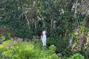 38851 S Hwy 1 Hwy, Gualala, CA 95445 - Photo 4