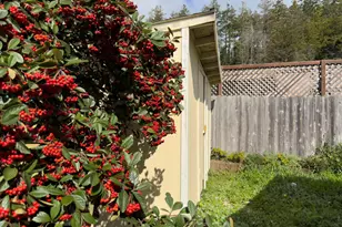 38851 38851 S Hwy One Hwy, Gualala, CA 95445 - Photo 20