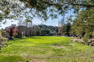 37 Creekside Ct, Corte Madera, CA 94925 - Photo 36