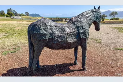 283 Karen Way, Tiburon, CA 94920 - Photo 80