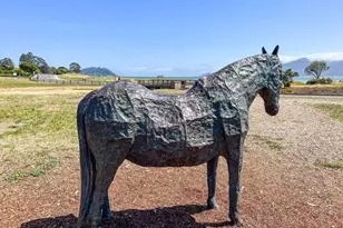 283 Karen Way, Tiburon, CA 94920 - Photo 80