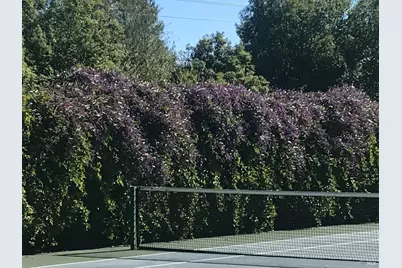 2703 Brush Creek Road, Santa Rosa, CA 95404 - Photo 82