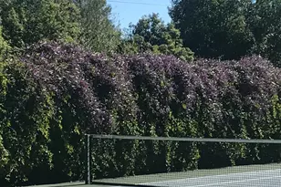 2703 Brush Creek Rd, Santa Rosa, CA 95404 - Photo 82