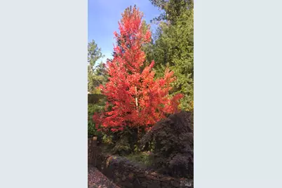 2703 Brush Creek Road, Santa Rosa, CA 95404 - Photo 80