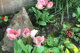 2703 Brush Creek Rd, Santa Rosa, CA 95404 - Photo 84