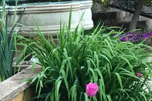 2703 Brush Creek Rd, Santa Rosa, CA 95404 - Photo 74