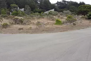 74 Burl Tree, The Sea Ranch, CA 95497 - Photo 4