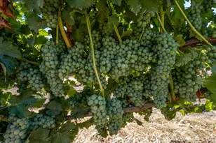 2000 Clover Valley Rd, Upper Lake, CA 95485 - Photo 20