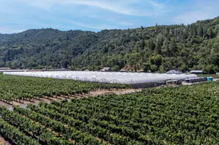 2000 Clover Valley Rd, Upper Lake, CA 95485 - Photo 28