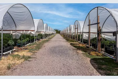 2000 Clover Valley Road, Upper Lake, CA 95485 - Photo 8