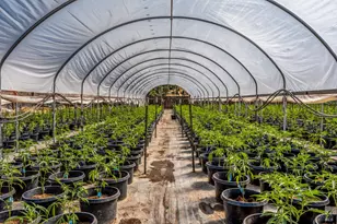 2000 Clover Valley Rd, Upper Lake, CA 95485 - Photo 22