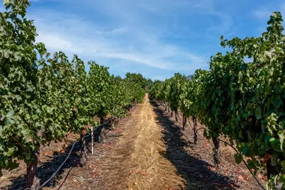 2000 Clover Valley Road, Upper Lake, CA 95485 - Photo 26