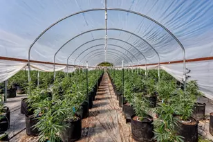 2000 Clover Valley Rd, Upper Lake, CA 95485 - Photo 26