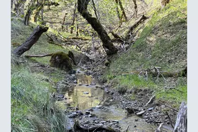 2150 Baywood Way, Willits, CA 95490 - Photo 8