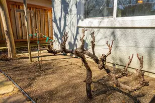 5244 Tuscany Dr, Fairfield, CA 94534 - Photo 54