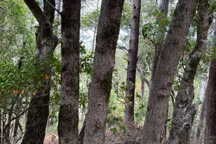 0 Laurel Ave, Woodacre, CA 94973 - Photo 1