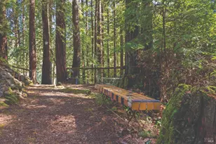 9085 Middle Ter, Monte Rio, CA 95462 - Photo 40